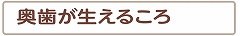 奥歯が生えるころ