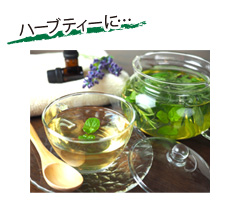 水の取り替えが簡単
